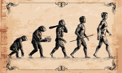 Evolucion Y Origen Del Ser Humano Kulturaupice