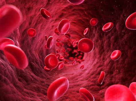 What are the symptoms of low hemoglobin level? 20 Easy Ways to Increase Haemoglobin Without Medication