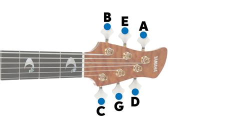 Bass Guitar Tuning Guide How To Tune Bass Guitars Sweetwater