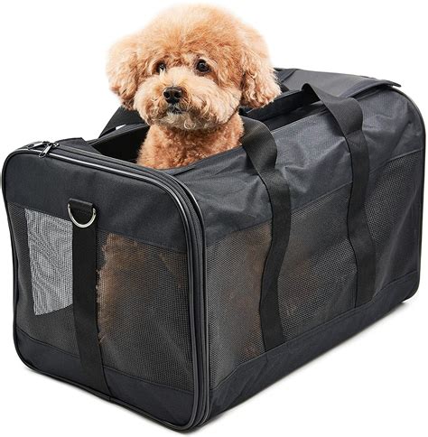 Scratchme Pet Travel Carrier For Cats Dogs Kittens And Puppies