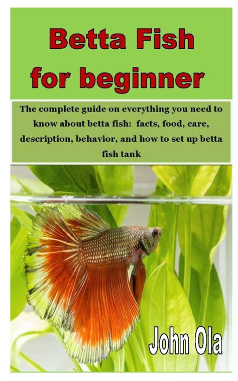 Buy Betta Fish For Beginner The Complete Guide On Everything You Need