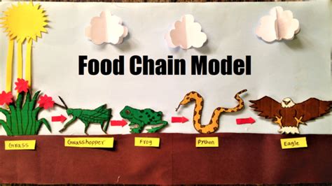 It has gotten 1397 views and also has 4.8 rating. Food Chain Model Project for School Students Science ...