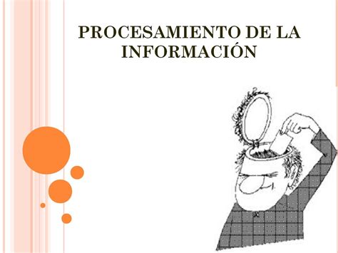Fases Del Procesamiento De La Información By María Johanna Sandino