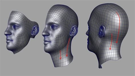 Tutorials Area By Autodesk Maya Modeling Polygon Modeling 3d Face Images