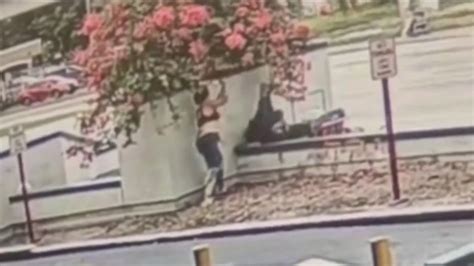 video revela el momento del ataque de un mujer con un bate telemundo miami 51
