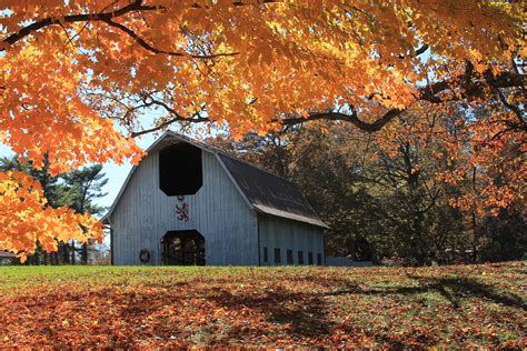 Barn In Autumn Photograph By Sandy Hooper Fine Art America