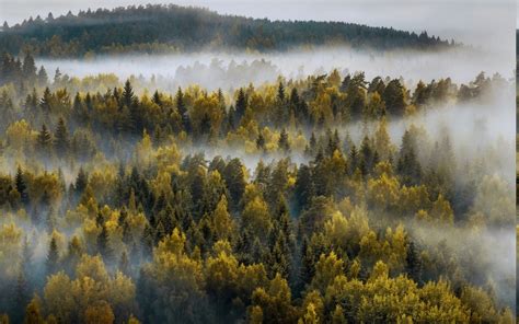 Landscape Nature Mountain Forest Mist Fall Trees