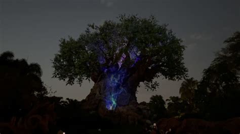 Video Avatar The Way Of Water Tree Of Life Awakenings Show Debuts