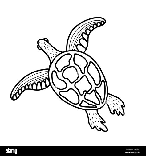 Cute Sea Turtle Vector Illustration In The Style Of A Doodle Stock