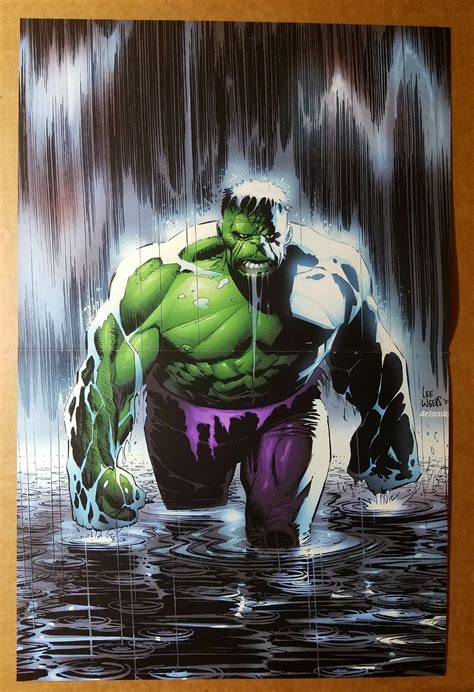 Incredible Hulk Waterfall Marvel Comics Poster By Lee Weeks