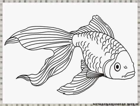 Gambar satu lengkungan besar membentuk punggung, lalu tambahkan ekor. Sketsa Gambar Kolase Ikan | Sobsketsa
