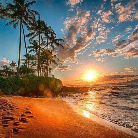 Pin By Damani Mereday On Palmen Und Meer Beach Sunset Images Hawaii