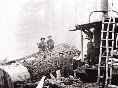 Amazing Vintage Photographs Document Logging And Lumber Activities In