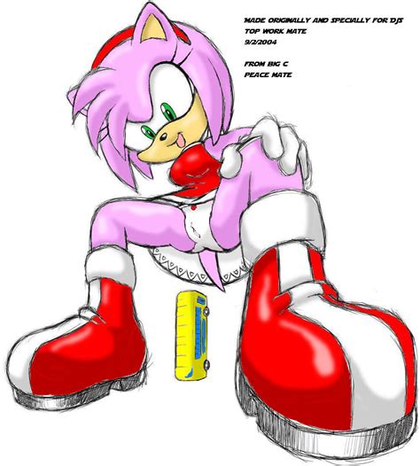 Rule34 If It Exists There Is Porn Of It Amy Rose 359269