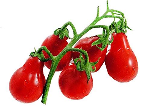 Maybe you would like to learn more about one of these? 50+ ORGANICALLY GROWN Red Pear Cherry Tomato Seeds ...