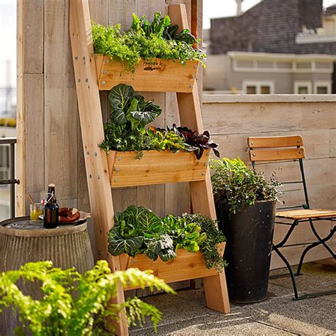 Believe it or not, it's not impossible to grow your own vegetable garden with yields of this nature. 5 Vertical Vegetable Garden Ideas For Beginners