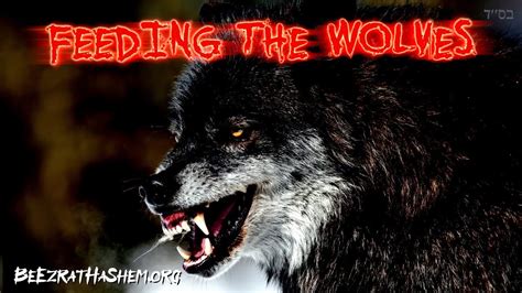 Feeding The Wolves Youtube