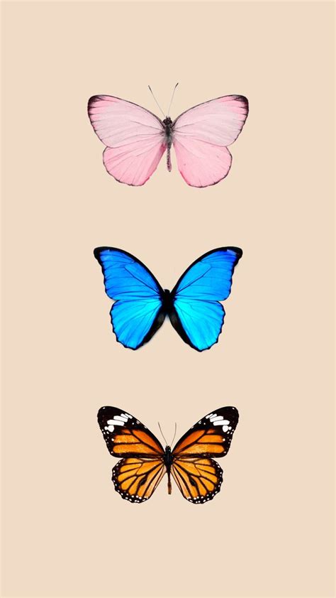 We did not find results for: Butterfly wallpaper | Butterfly wallpaper backgrounds ...