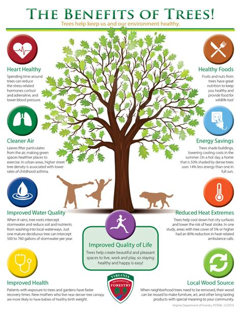 Benefits Of Trees Virginia Department Of Forestry