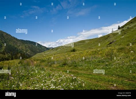Meadows In The Valley Of Kucherla River Altai Russia Stock Photo Alamy