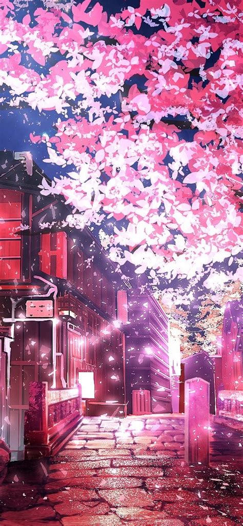 The Best 20 Cherry Blossom Anime Background 4k