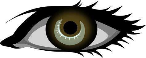 Brown Eye Icons Png Free Png And Icons Downloads