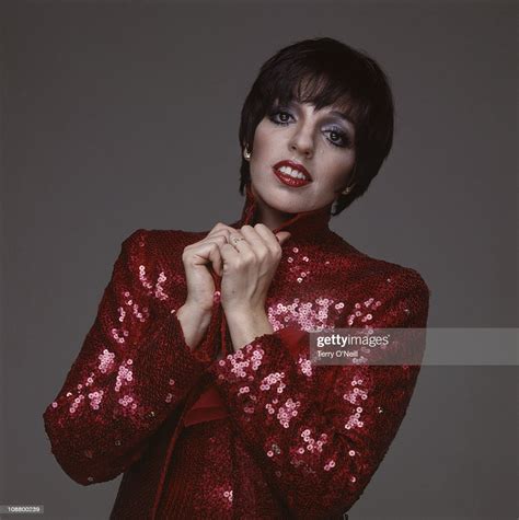 American singer and actress Liza Minelli. News Photo ...