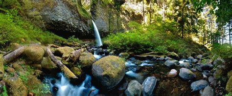 Top 10 Places To Go Hiking In Portland
