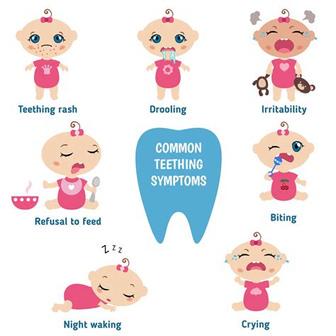 Top 7 Signs Of Teething And Remedies To Sooth The Teething Journey Of
