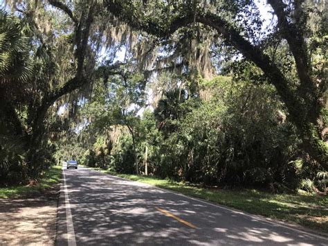 Ormond Scenic Loop And Trail Beautiful Drive With Captivating Stops