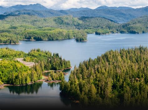 Wales is a city in nome census area, alaska. Lawsuit Challenges Massive Timber Sale in Alaska National Forest | Earthjustice