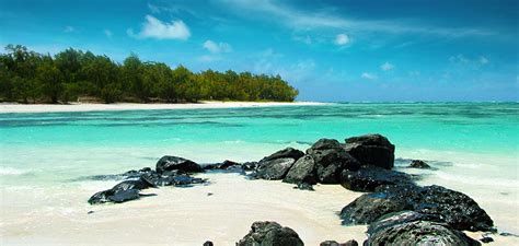 Ile Aux Cerfs Island Day Package Best Deals And Lowest