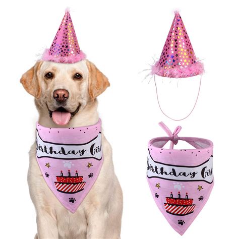 Shiny Dog Birthday Hat And Bandana Set With Birthday Girlboy Bone One