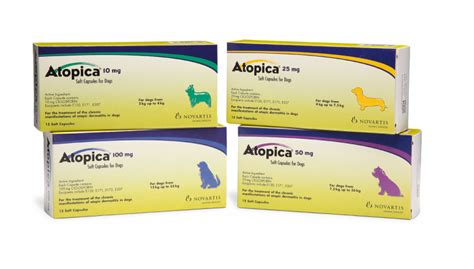 Guide To Atopica For Dogs Dog Health Atopic Dermatitis Dogs