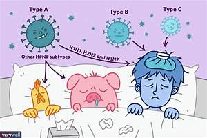Overview of Influenza A and B Influenza  