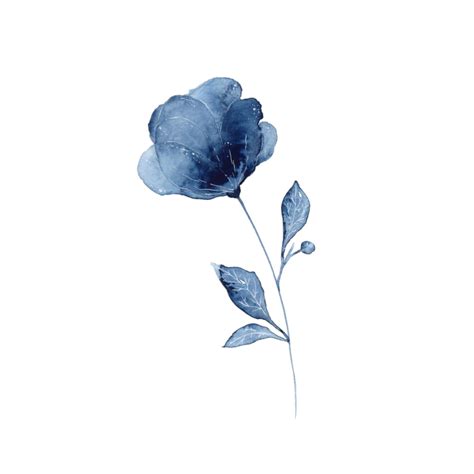 Discover trending #flower stickers | Cute blue wallpaper, Blue png image