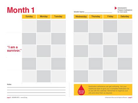 40 Great Medication Schedule Templates Medication Calendars