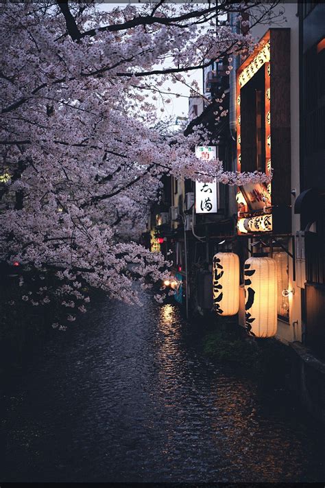 Pin By Vness On Asia Japan Photography Aesthetic Japan Kyoto Japan