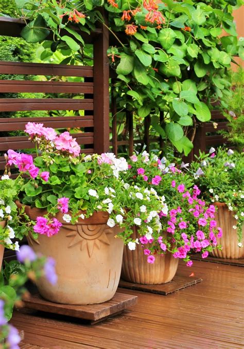10 Summer Container Flower Garden Ideas Town And Country Living