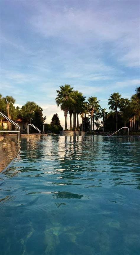 French restaurant in ocala, florida. Ocala, Fl | Vacation spots, Vacation, Ocala