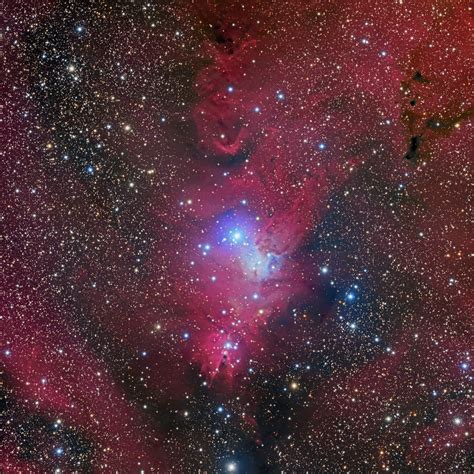 The Cone And Fox Fur Nebula Under The Christmas Tree Cluster From Dsw