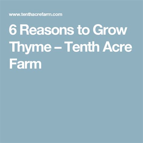 6 Reasons To Grow Thyme Tenth Acre Farm Growing Rosemary Indoors