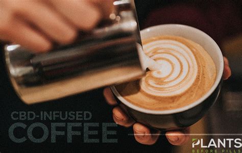 [video] cbd infused coffee is growing in popularity plants before pills