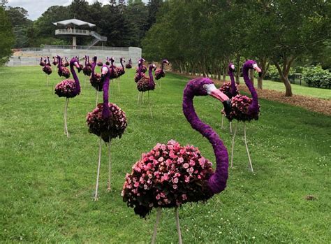 Flamazing Flamingos 2020 Norfolk Botanical Garden