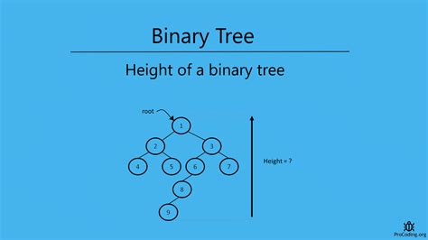 Height Of A Binary Tree Procoding