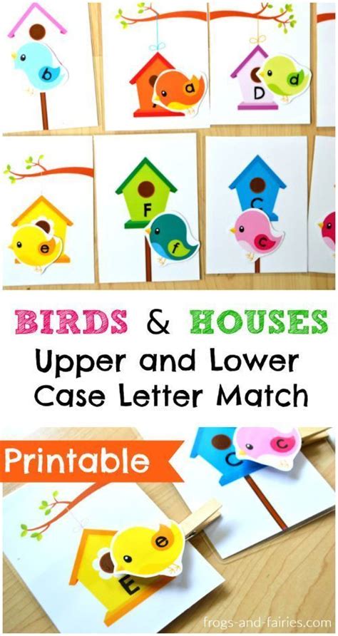 Birds and Houses Upper and Lower Case Letter Match - Frogs and Fairies