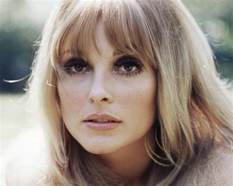 55 Photos Of Sharon Tate Youve Probably Never Seen Before