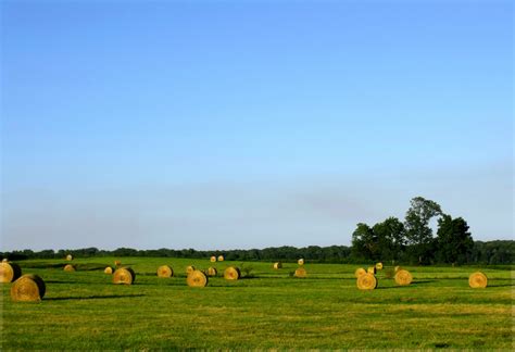 Free Images Nature Outdoor Horizon Sky Hay Bale Field Farm