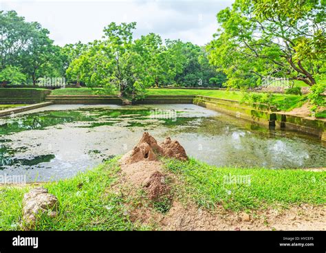 The View Of The Pond In Water Gardens Of Sigiriya With Termitary On The