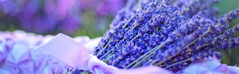 New Tradition Funeral Services | West Chicago IL funeral home and cremation